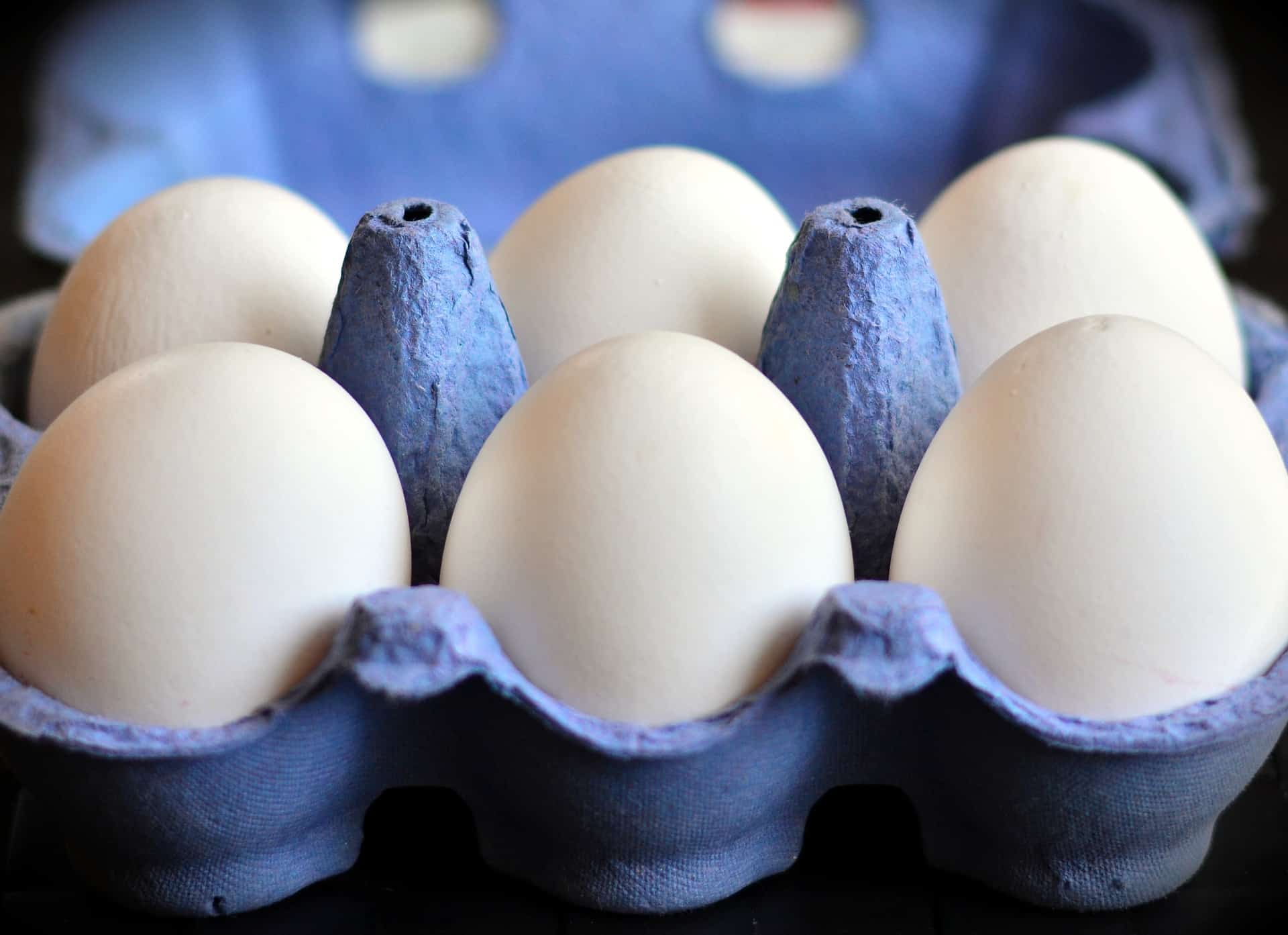 cartones de huevos para insonorizar